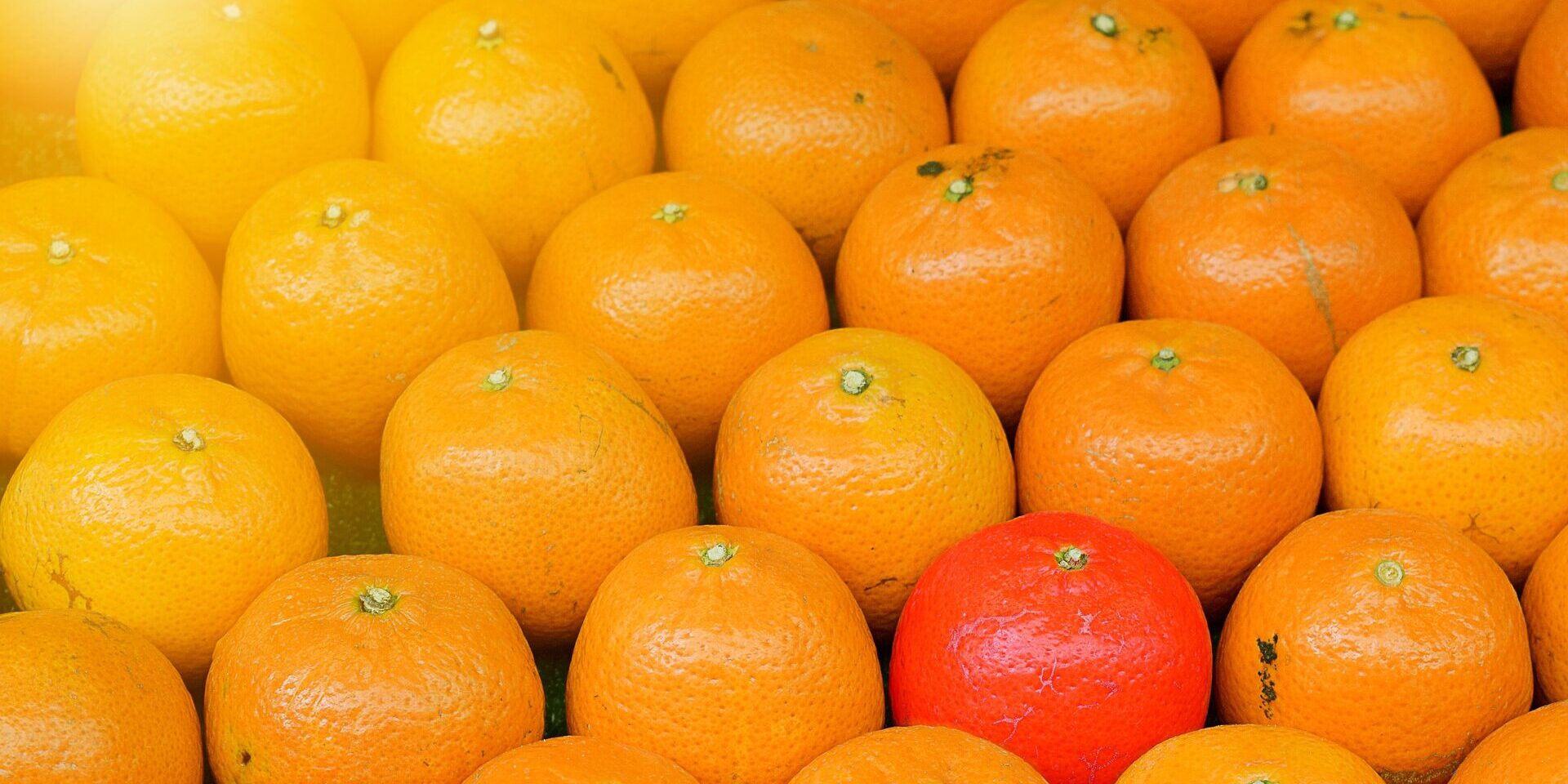 be-yourself-5002607_1920